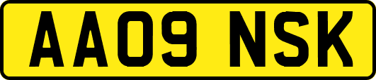 AA09NSK