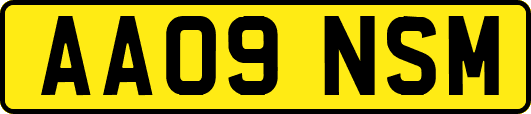 AA09NSM
