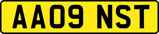 AA09NST