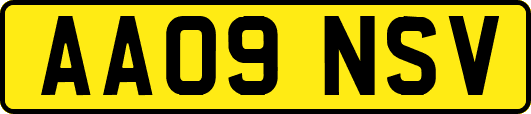 AA09NSV