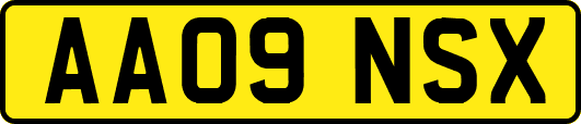 AA09NSX