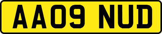 AA09NUD