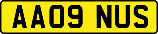 AA09NUS