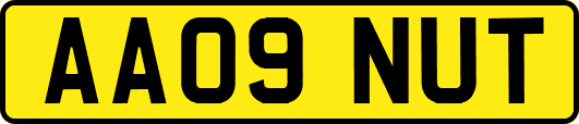 AA09NUT