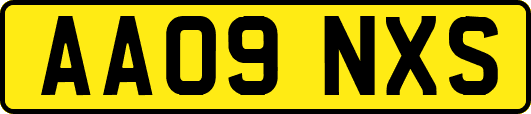 AA09NXS