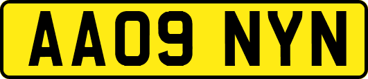 AA09NYN