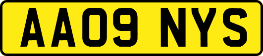 AA09NYS
