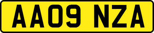 AA09NZA