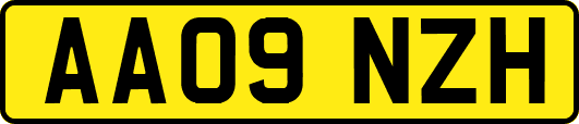 AA09NZH