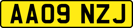 AA09NZJ