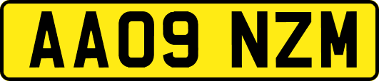 AA09NZM
