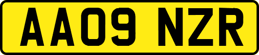 AA09NZR