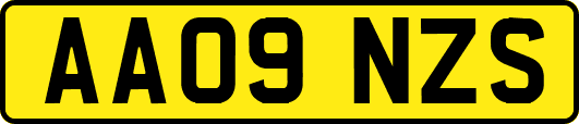 AA09NZS