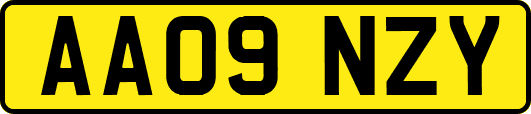 AA09NZY