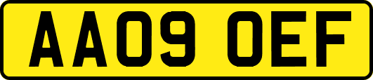 AA09OEF