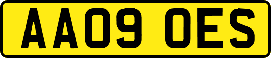 AA09OES
