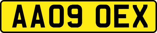 AA09OEX