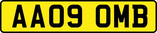 AA09OMB