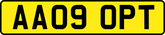 AA09OPT