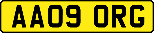 AA09ORG