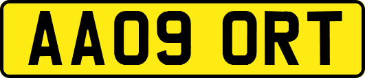AA09ORT