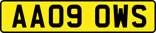 AA09OWS