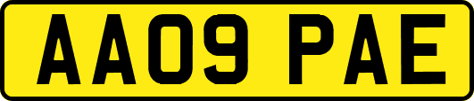 AA09PAE