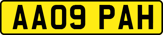AA09PAH