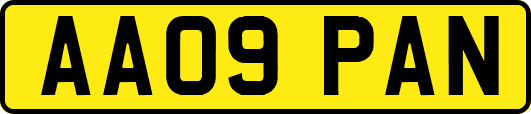 AA09PAN