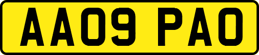 AA09PAO