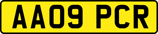 AA09PCR
