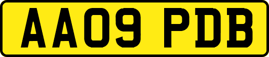 AA09PDB