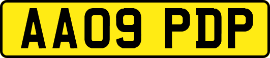 AA09PDP