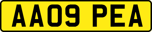 AA09PEA