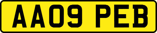 AA09PEB