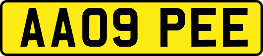 AA09PEE