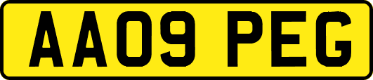 AA09PEG