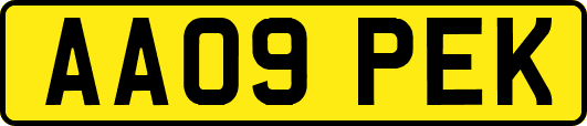 AA09PEK