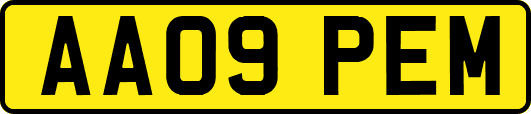 AA09PEM
