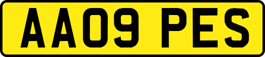 AA09PES