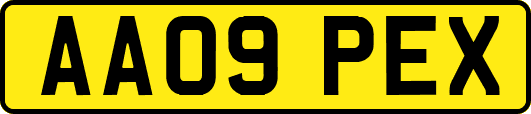 AA09PEX