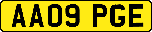 AA09PGE