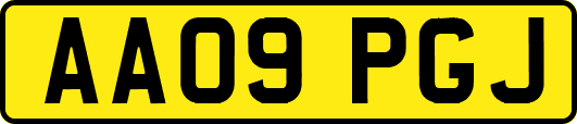 AA09PGJ