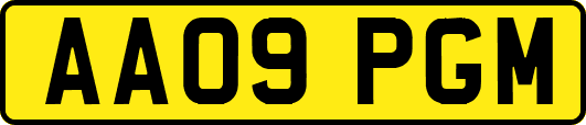 AA09PGM