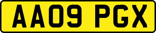 AA09PGX