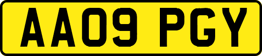 AA09PGY