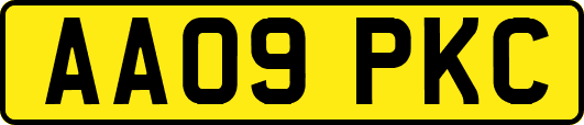 AA09PKC