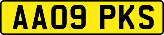AA09PKS