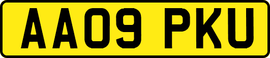 AA09PKU