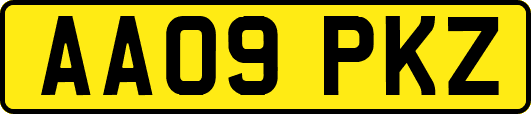 AA09PKZ